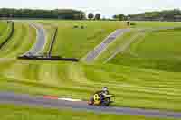 Lower Group Yellow Bikes